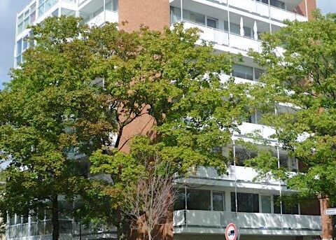 Helle 1,5 Zi. Wohnung mit Balkon in Hannover - OT ZooviertelHelle 1,5 Zi. Wohnung mit Balkon in Hannover - OT Zooviertel